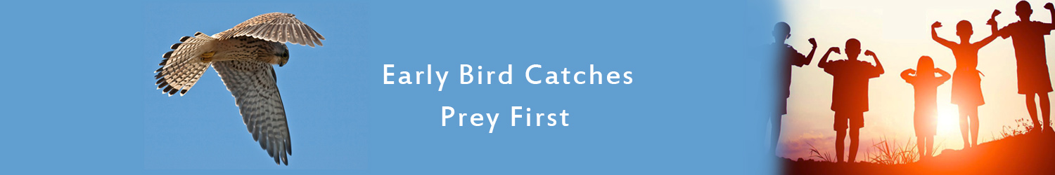 Early Bird Catches Prey First